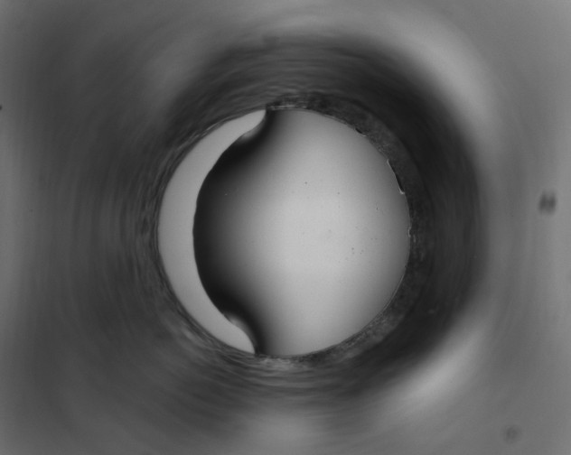 X0000102040766200808081834