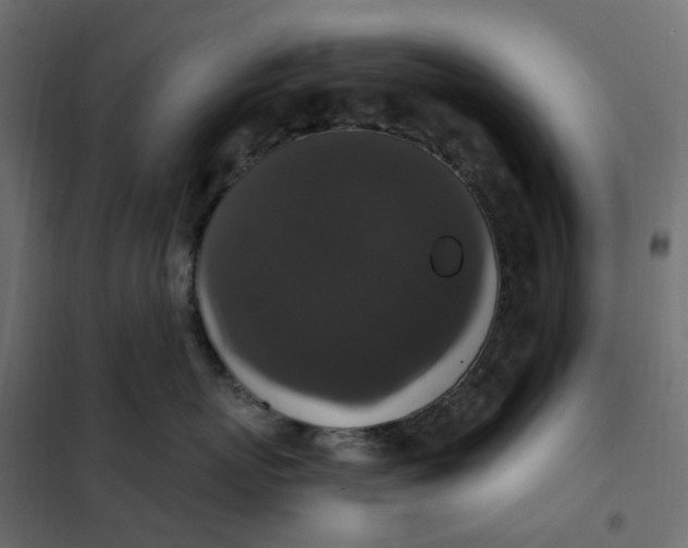 X0000102040767200808081834