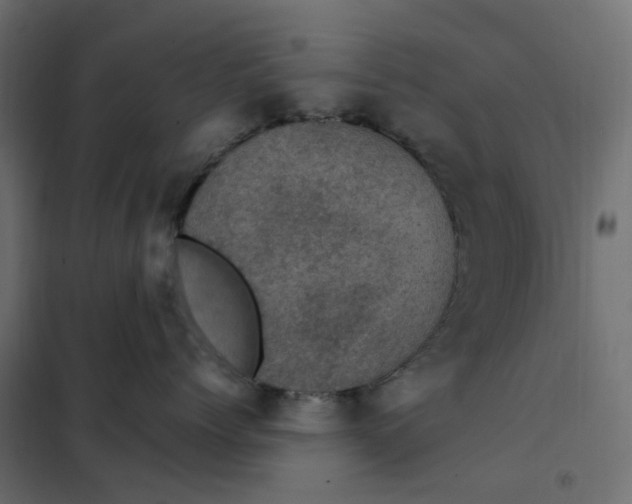 X0000102040768200808081835