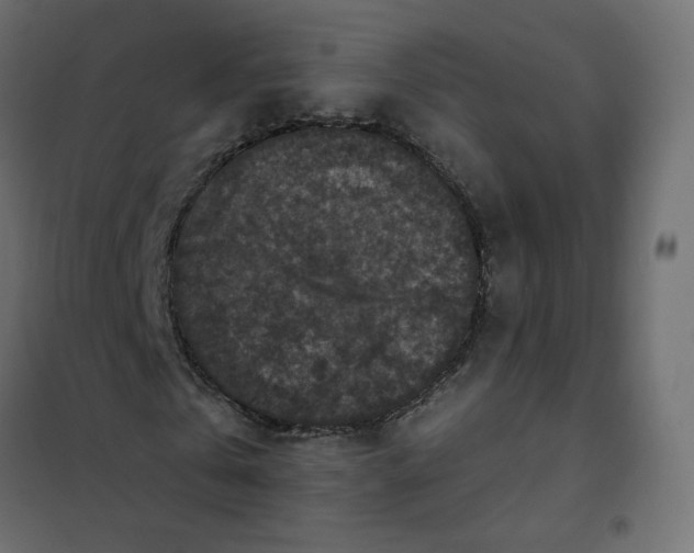 X0000102040769200808081834