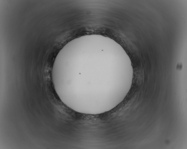 X0000102040770200808081834