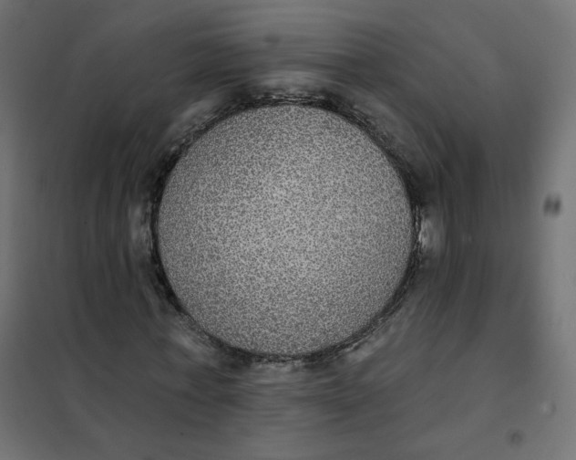 X0000102040771200808081834