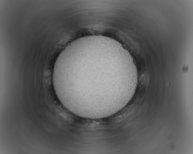 X0000102040772200808081834