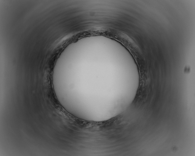 X0000102040773200808081834