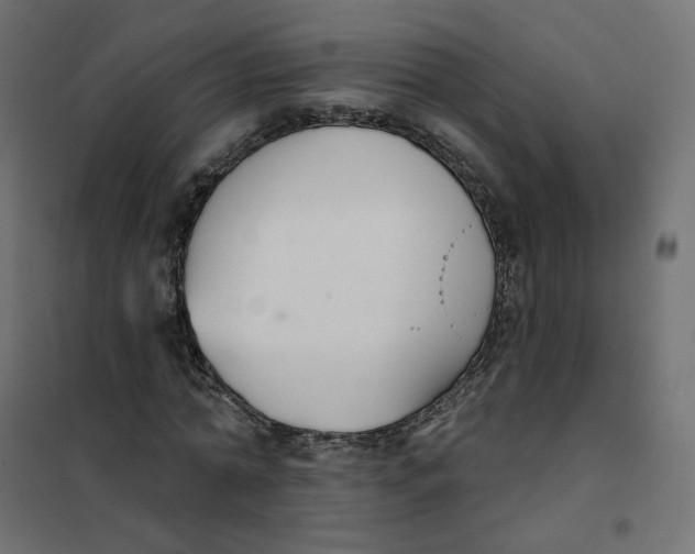 X0000102040774200808081834