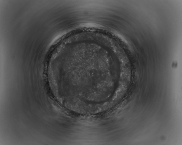 X0000102040775200808081834