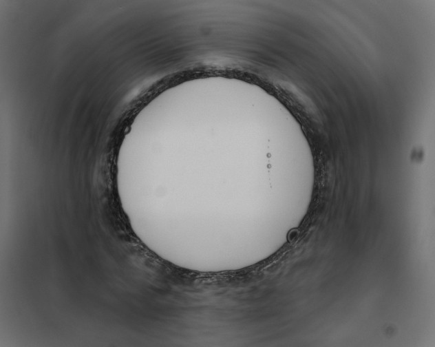 X0000102040776200808081834