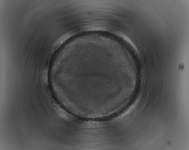 X0000102040777200808081834