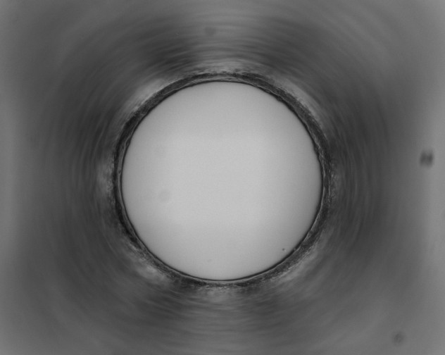 X0000102040778200808081834