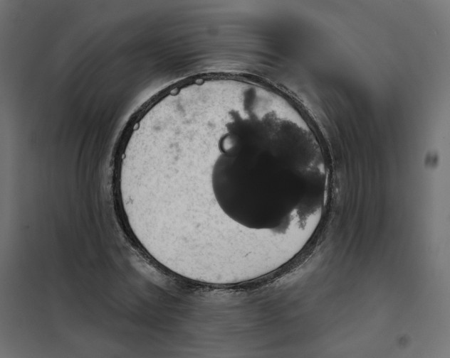 X0000102040779200808081834