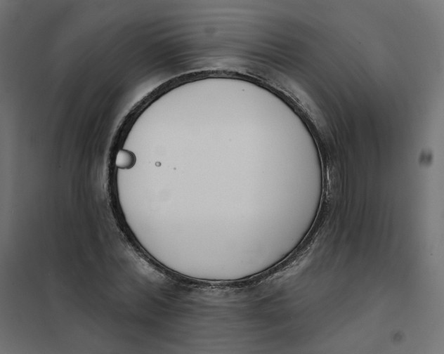 X0000102040780200808081834