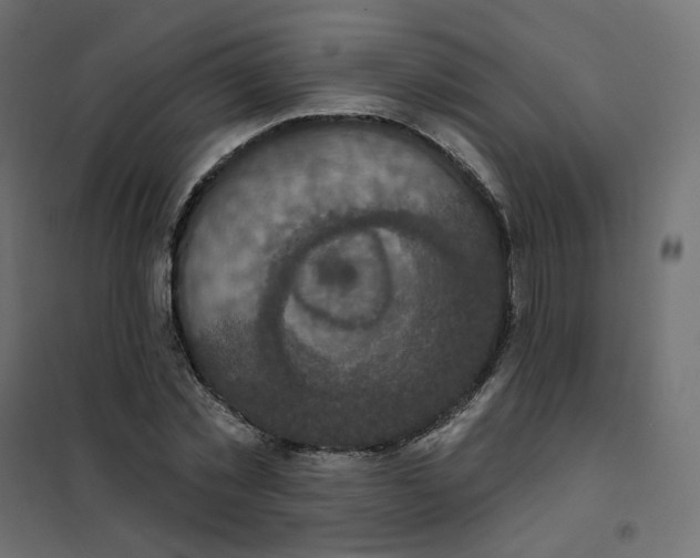 X0000102040781200808081834