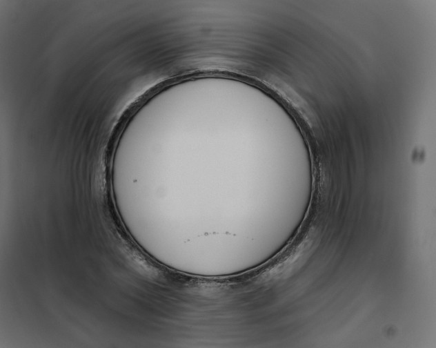 X0000102040782200808081834