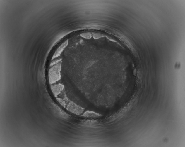 X0000102040784200808081834