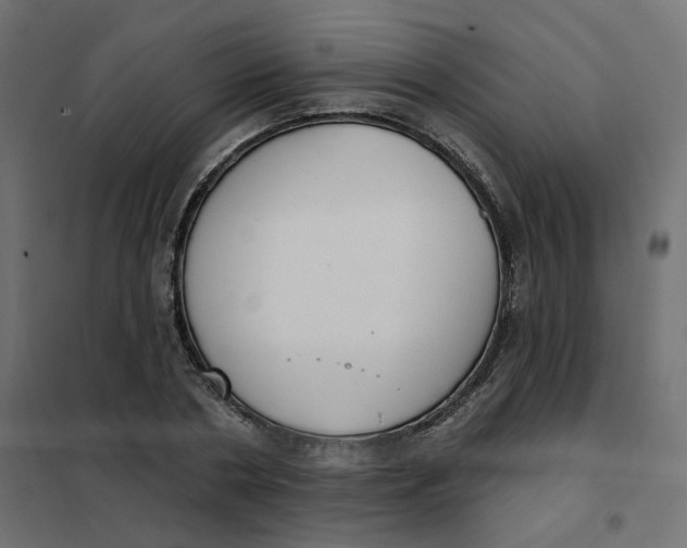 X0000102040786200808081834