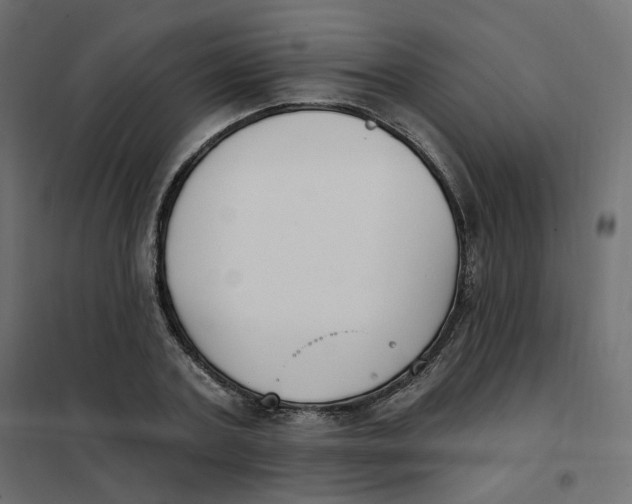 X0000102040787200808081834