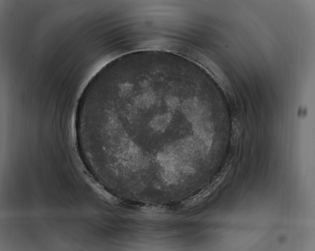 X0000102040788200808081834