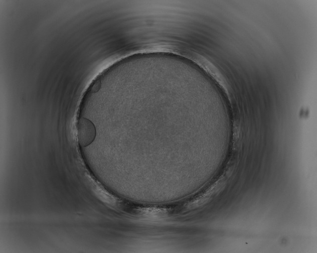 X0000102040789200808081834