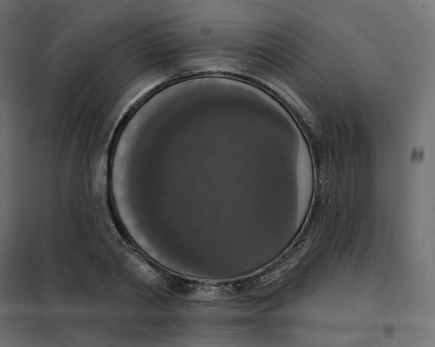 X0000102040790200808081833