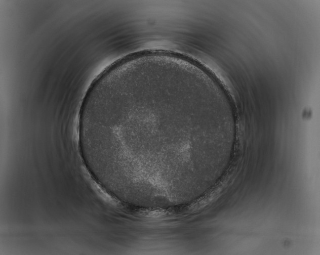 X0000102040791200808081833