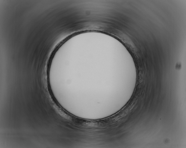 X0000102040792200808081833