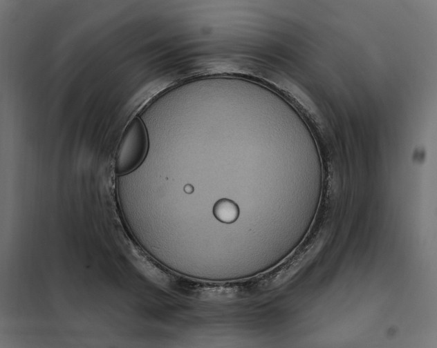 X0000102040793200808081833