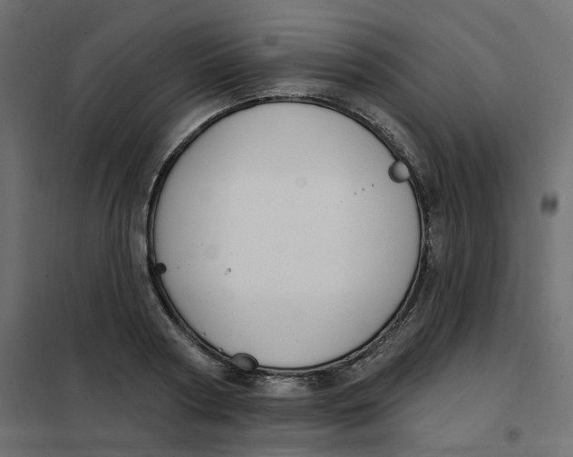 X0000102040794200808081833