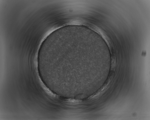 X0000102040795200808081833