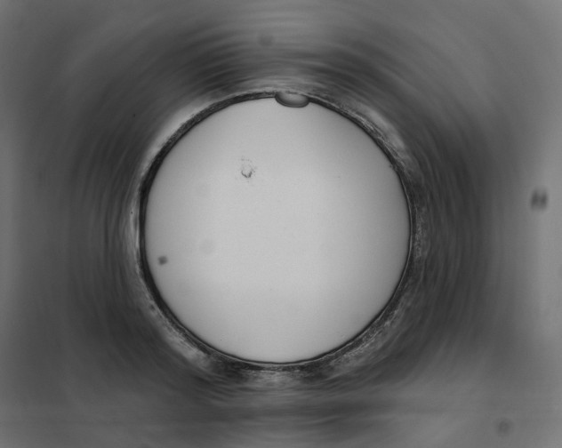 X0000102040796200808081833