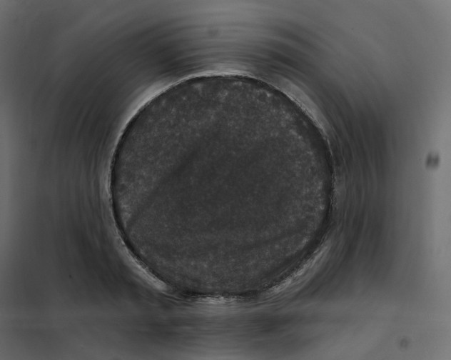 X0000102040797200808081833