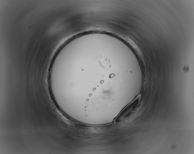 X0000102040799200808081833