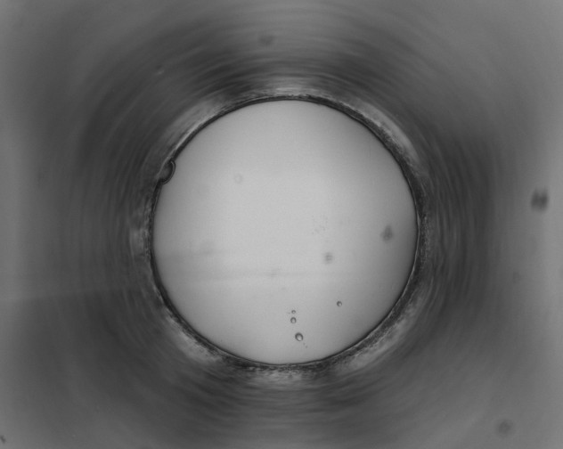 X0000102040801200808081833