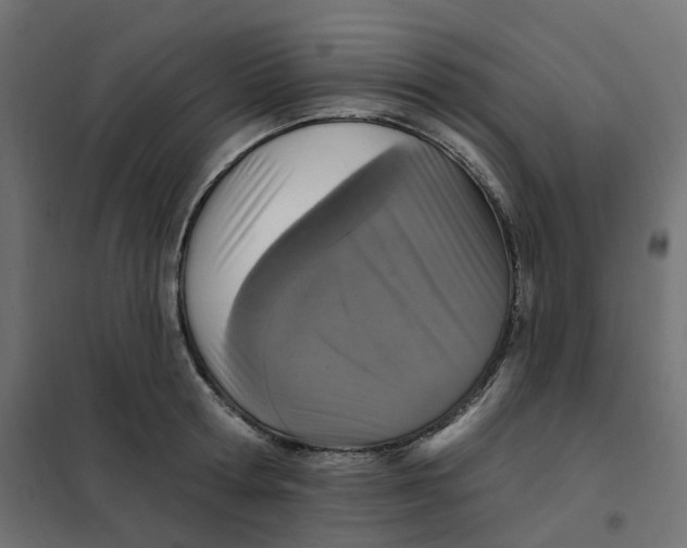 X0000102040802200808081833