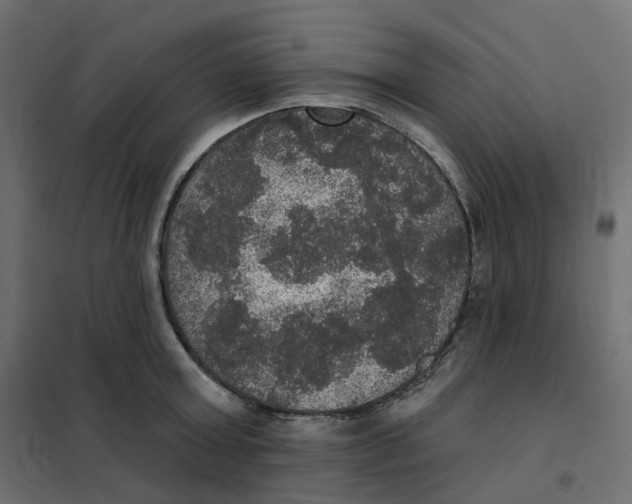 X0000102040803200808081833