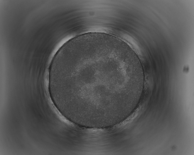 X0000102040804200808081833