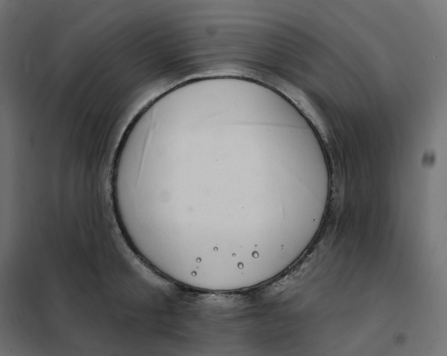 X0000102040805200808081833