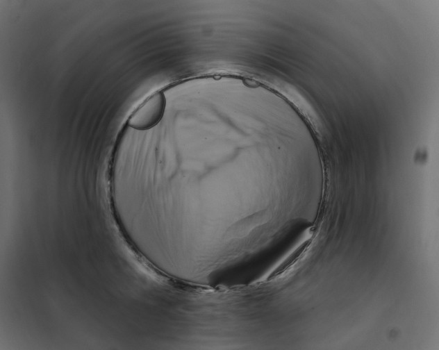 X0000102040806200808081833