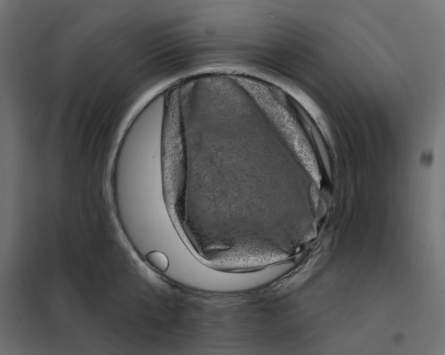 X0000102040807200808081833