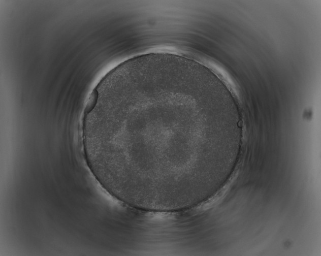 X0000102040808200808081833