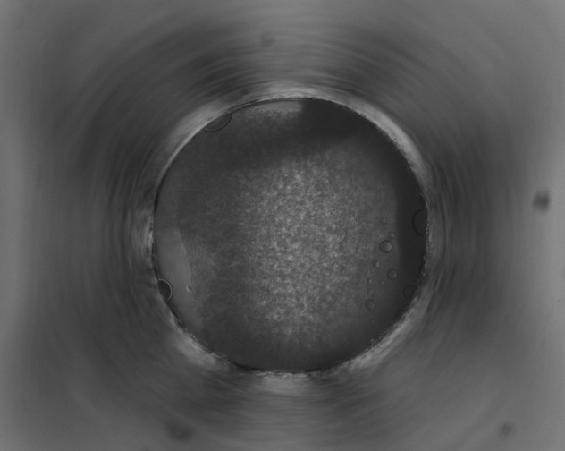 X0000102040809200808081833