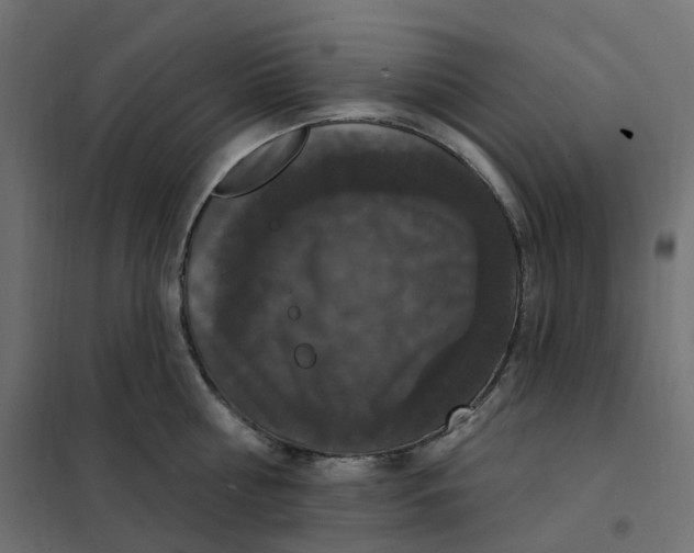 X0000102040810200808081833