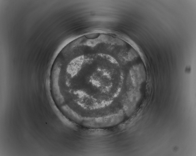 X0000102040811200808081833