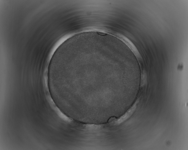 X0000102040812200808081833