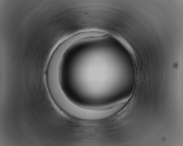 X0000102040813200808081833