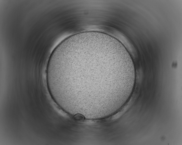 X0000102040814200808081833