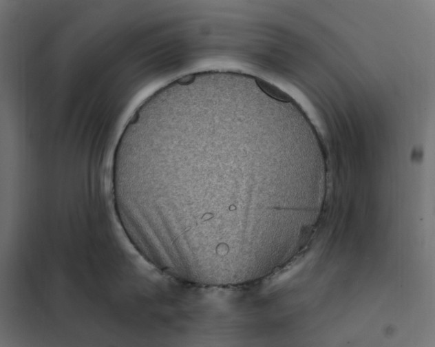 X0000102040815200808081833