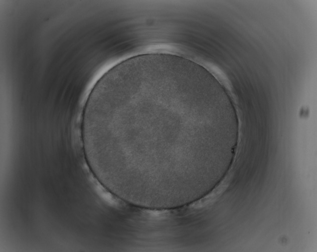 X0000102040816200808081833