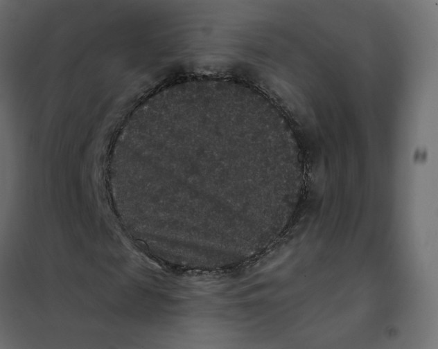 X0000102040817200808081832