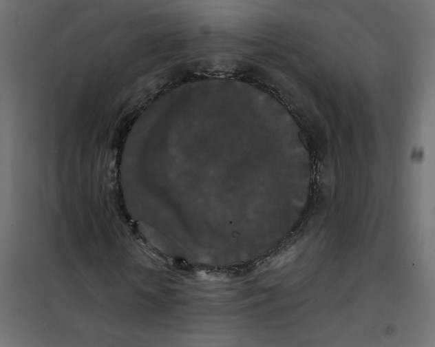 X0000102040818200808081832