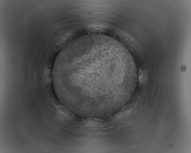 X0000102040819200808081832